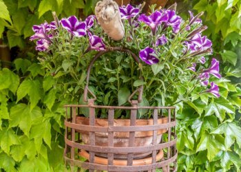 IR - Casa indipendente via Falconara, Cesena - foto 4