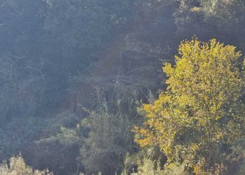 esterno - Rustico Via del Ponte, Ventimiglia - foto 4