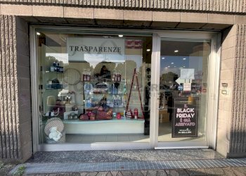 WhatsApp Image 2023-11-21 at 20.20.59 (20).jpeg - Show room Via dell'Industria, Mozzo - foto 12