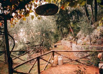 630bd54f-8649-4170-afce-a0b90250f08a.JPG - Rustico Camaiore - foto 5