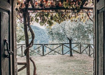 915de91e-634d-406b-9d7d-45f7d0650605.JPG - Rustico Camaiore - foto 25