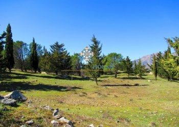 Terreno edificabile SP29, Petralia Soprana - foto 1