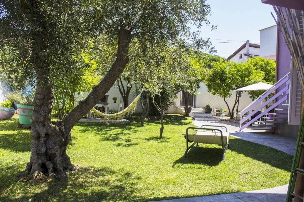 giardino - Villa via dei Platani, 23, Anzio - photo 1