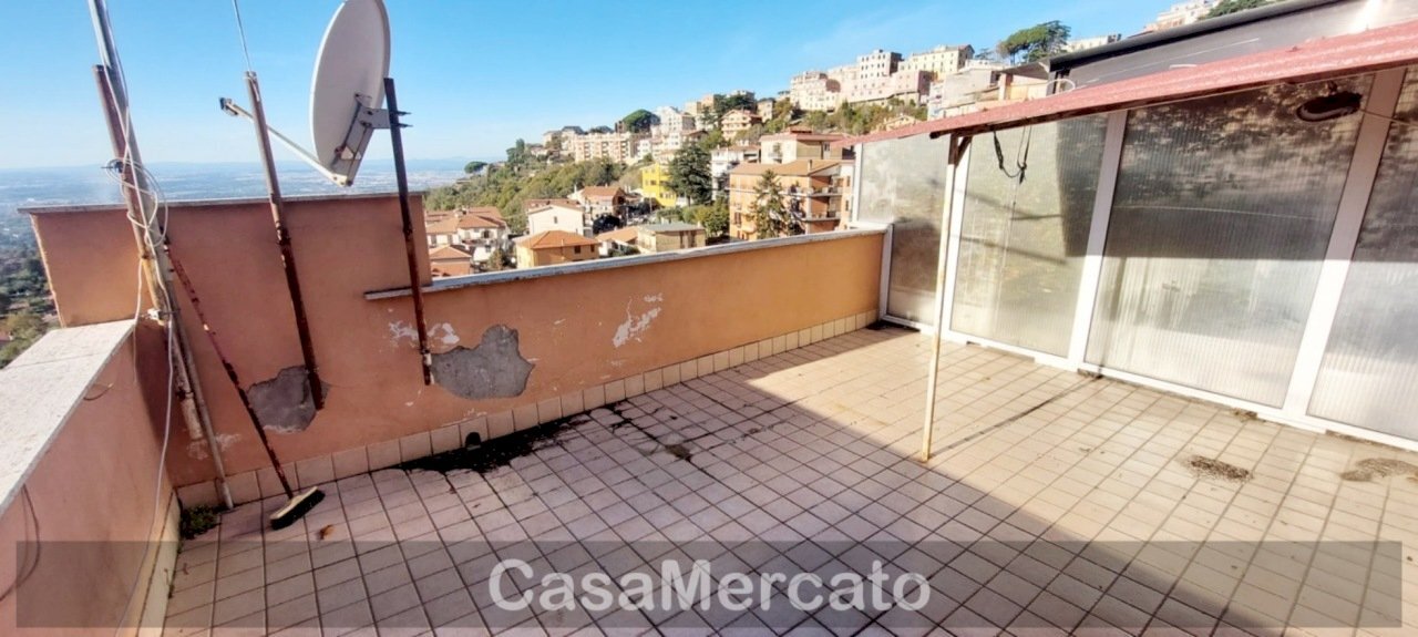 terr6.jpg - Bilocale via Palazzolo, Rocca di Papa - foto 2