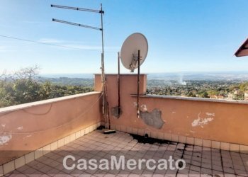 terr4.jpg - Bilocale via Palazzolo, Rocca di Papa - foto 18