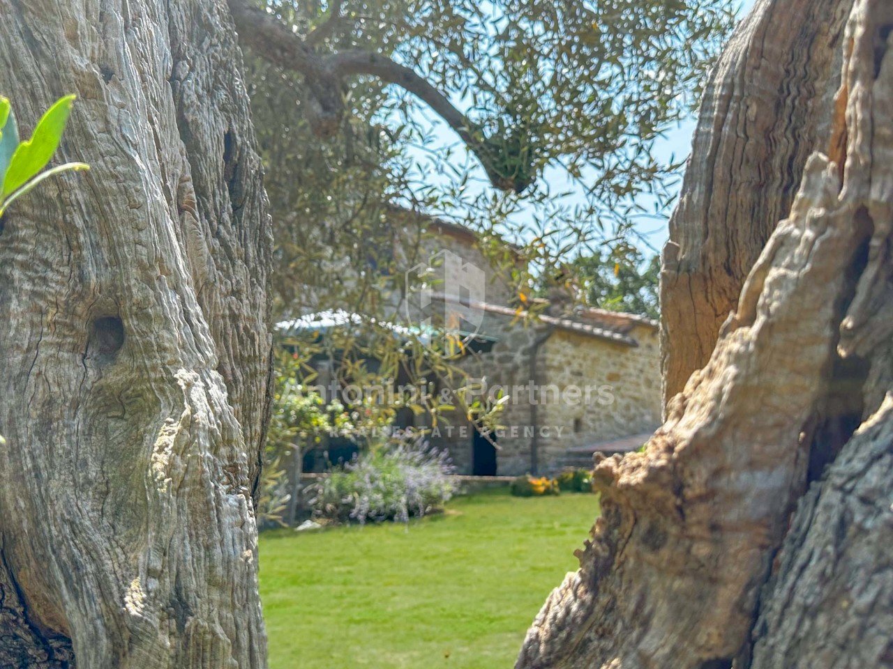 Torre del Germano-05.jpg - Casale strada statale del trasimeno, Passignano sul Trasimeno - photo 2