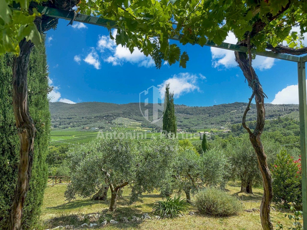 Torre del Germano-11.jpg - Casale strada statale del trasimeno, Passignano sul Trasimeno - photo 3