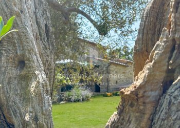 Torre del Germano-05.jpg - Casale strada statale del trasimeno, Passignano sul Trasimeno - foto 2