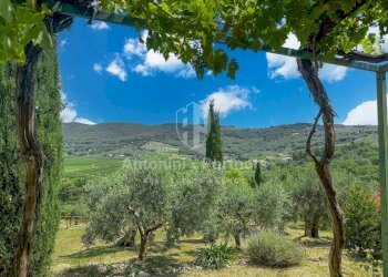 Torre del Germano-11.jpg - Casale strada statale del trasimeno, Passignano sul Trasimeno - foto 3