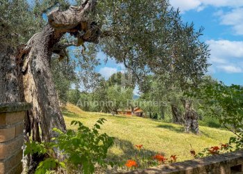 Torre del Germano-01.jpg - Casale strada statale del trasimeno, Passignano sul Trasimeno - foto 7