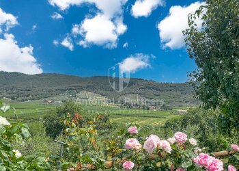 Torre del Germano-07.jpg - Casale strada statale del trasimeno, Passignano sul Trasimeno - foto 14