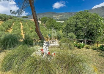 Torre del Germano-04.jpg - Casale strada statale del trasimeno, Passignano sul Trasimeno - foto 19