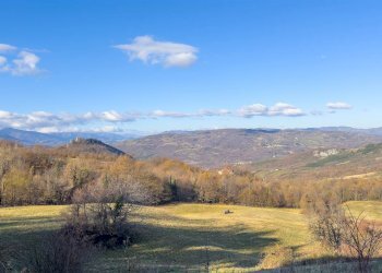 Rustico Camugnano - foto 12