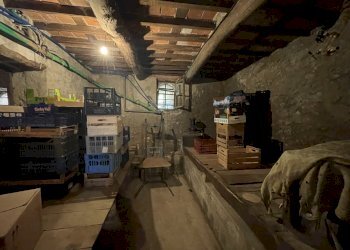 Casa colonica in zona collinare con piscina (11).j - Casale Via di Mammoli, Lucca - foto 22