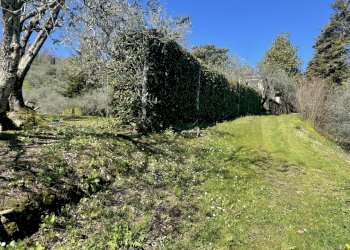 Casa colonica in zona collinare con piscina (49).j - Casale Via di Mammoli, Lucca - foto 28