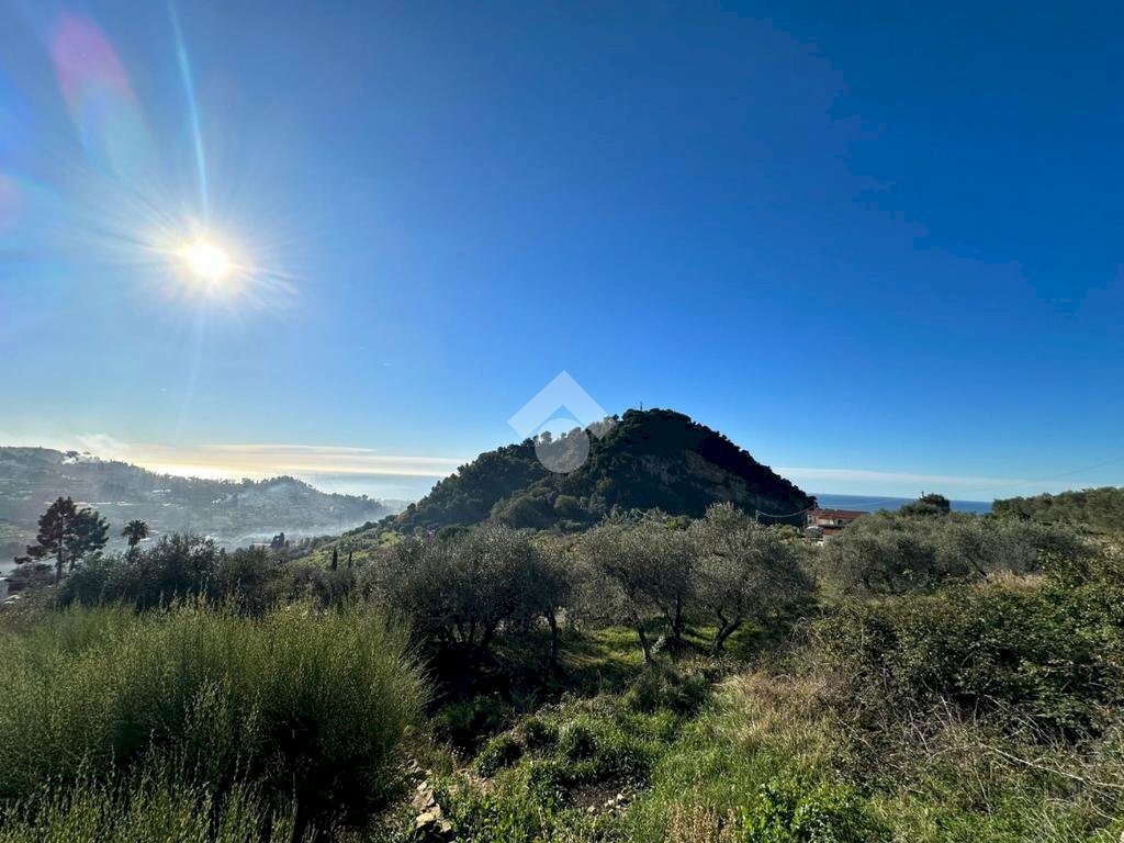 Terreno agricolo Via San Sebastiano, Bordighera - foto 1