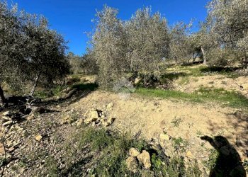 Terreno agricolo Via San Sebastiano, Bordighera - foto 3