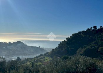 Terreno agricolo Via San Sebastiano, Bordighera - foto 7