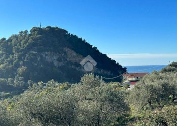 Terreno agricolo Via San Sebastiano, Bordighera - foto 8