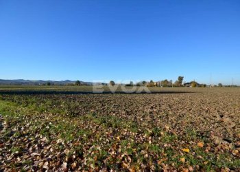 Rustico Zola Predosa - foto 2