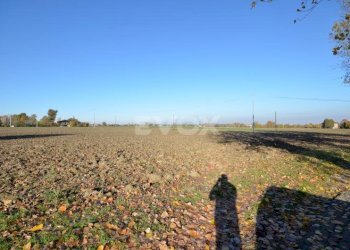 Rustico Zola Predosa - foto 3