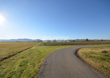 Rustico Zola Predosa - foto 4