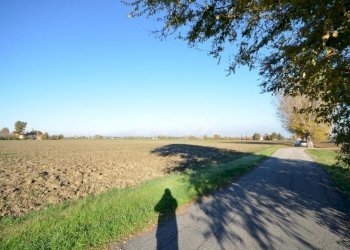 Rustico Zola Predosa - foto 7