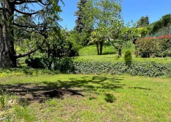 Giardino - Villa Bifamiliare via delle Rose, Rivoli - foto 50