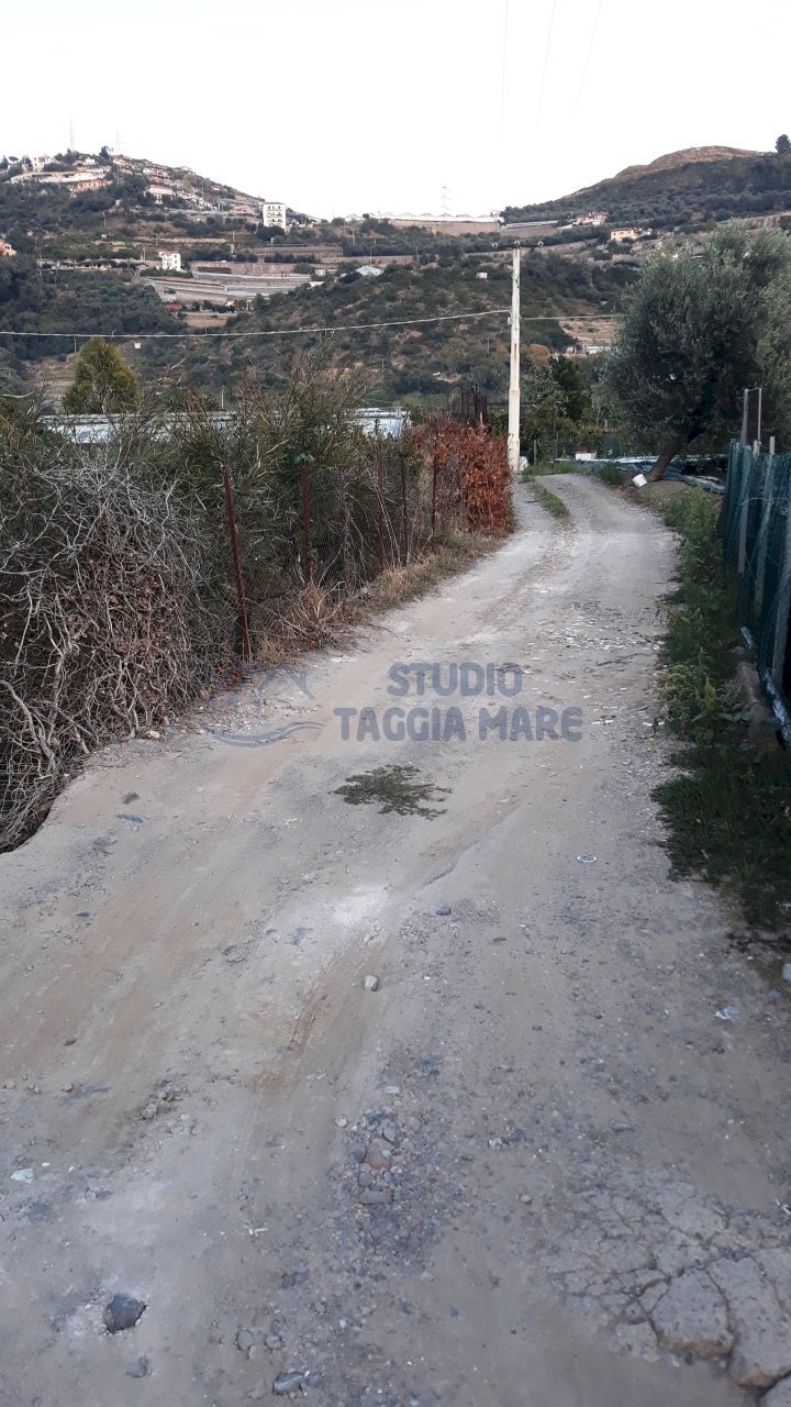 3.jpg - Agricultural land Via Del Piano, Taggia - photo 3