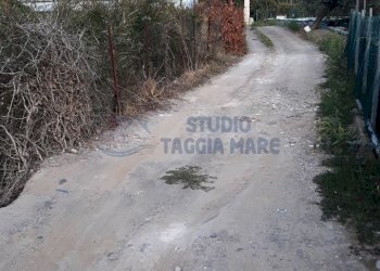 3.jpg - Agricultural land Via Del Piano, Taggia - photo 3