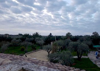 1701189383918.jpg - Villa Alghero - foto 3
