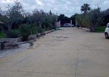 1701189384012.jpg - Villa Alghero - foto 6