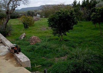 1701189415558.jpg - Villa Alghero - foto 11