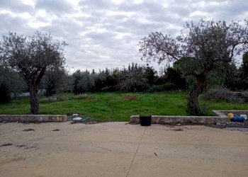 1701189454277.jpg - Villa Alghero - foto 15