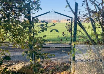 Casale Frazione Tre Cantoni, Isola Sant'Antonio - foto 20