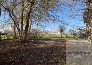 Casale Frazione Tre Cantoni, Isola Sant'Antonio - foto 23