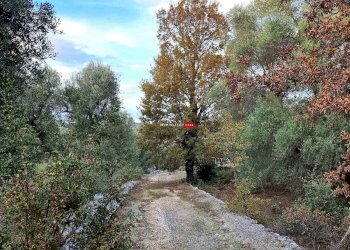 Trullo Indirizzo Non Disponibile, Ostuni - foto 17