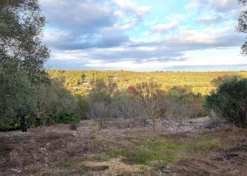 Trullo Indirizzo Non Disponibile, Ostuni - foto 18