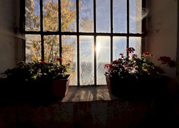 Rustic Vaglio Serra - photo 20