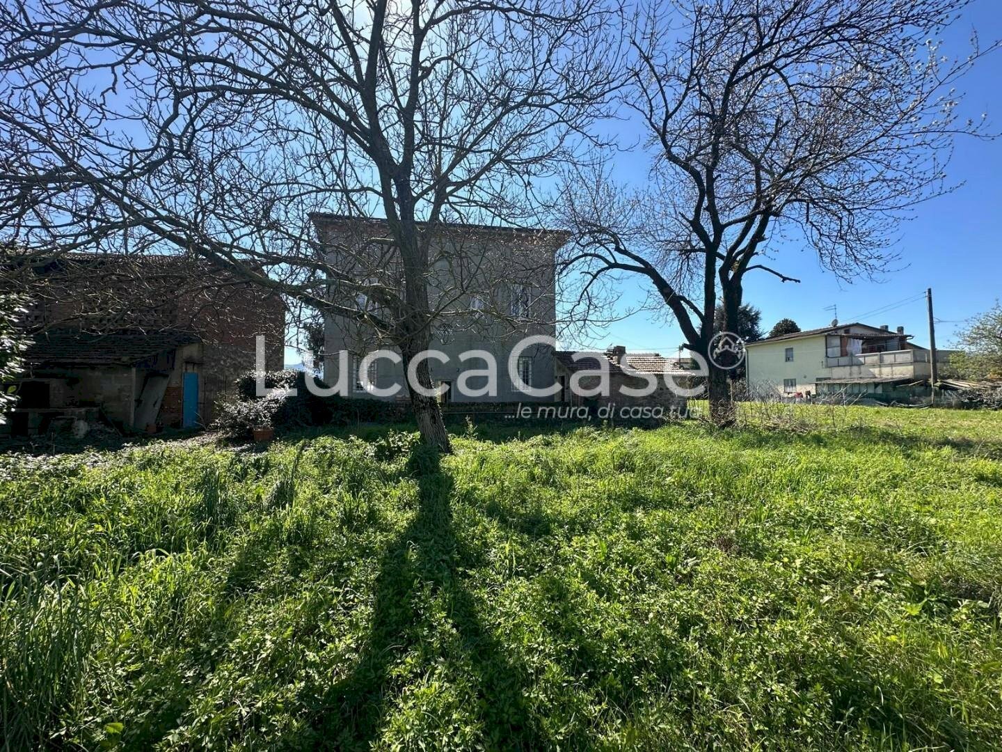 Villa Lucca - foto 3