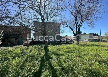 Villa Lucca - foto 3