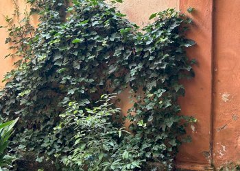 Trilocale Mantova - foto 10