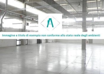 capannone 2.jpg - Magazzino Via dei Giardini 8, Genova - foto 4