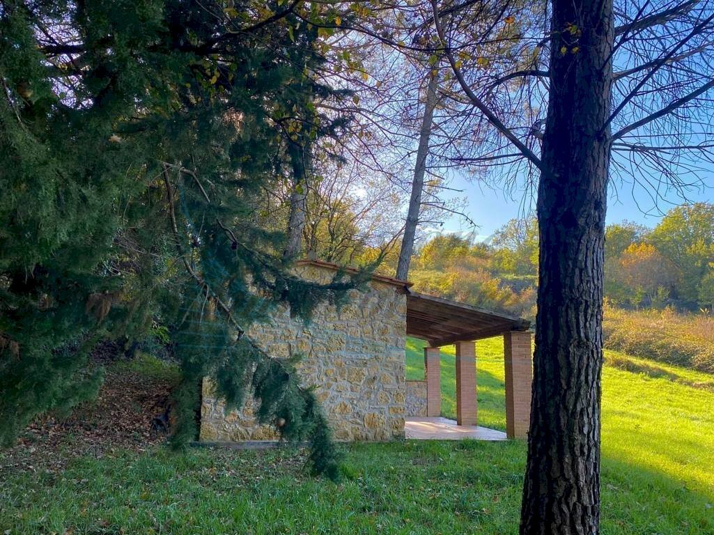 photo_5992601258193698424_y (FILEminimizer).jpg - Terreno agricolo Via Aiuccia 3, Montescudaio - foto 2