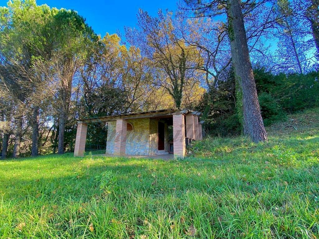 photo_5992601258193698430_y (FILEminimizer).jpg - Terreno agricolo Via Aiuccia 3, Montescudaio - foto 3