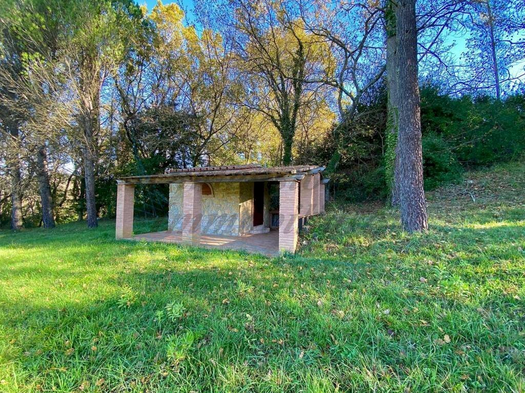 photo_5992601258193698431_y (FILEminimizer).jpg - Terreno agricolo Via Aiuccia 3, Montescudaio - foto 1