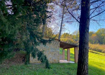 photo_5992601258193698424_y (FILEminimizer).jpg - Terreno agricolo Via Aiuccia 3, Montescudaio - foto 2