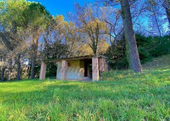 photo_5992601258193698430_y (FILEminimizer).jpg - Terreno agricolo Via Aiuccia 3, Montescudaio - foto 3