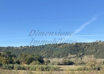 photo_5992601258193698441_y (FILEminimizer).jpg - Terreno agricolo Via Aiuccia 3, Montescudaio - foto 5