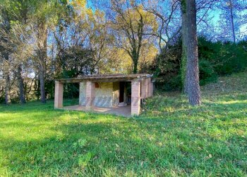 photo_5992601258193698431_y (FILEminimizer).jpg - Terreno agricolo Via Aiuccia 3, Montescudaio - foto 1